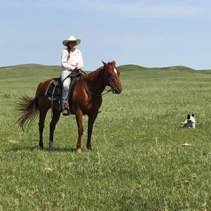 Meet your Posher, Tara